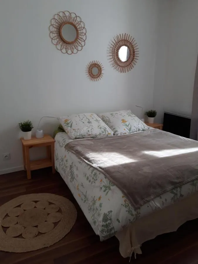 Les Apparts' Hotel Du Canal 沙托兰